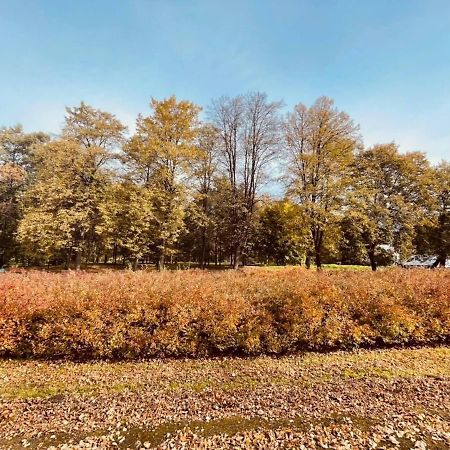 Apartamenty Ktw Debowe Tarasy カトヴィツェ エクステリア 写真