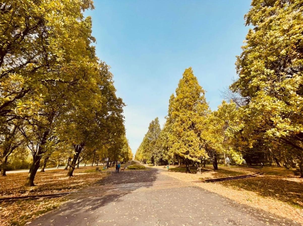 Apartamenty Ktw Debowe Tarasy カトヴィツェ エクステリア 写真