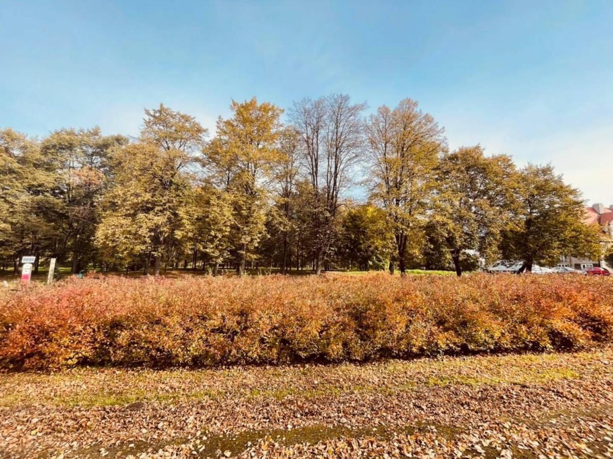 Apartamenty Ktw Debowe Tarasy カトヴィツェ エクステリア 写真